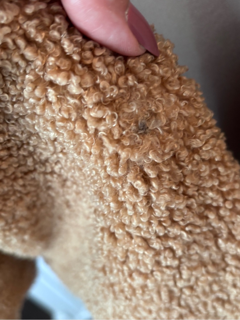 Anthropology/Sanctuary Cozy Women's Teddy Jacket - Brown szL - Picture 5 of 11